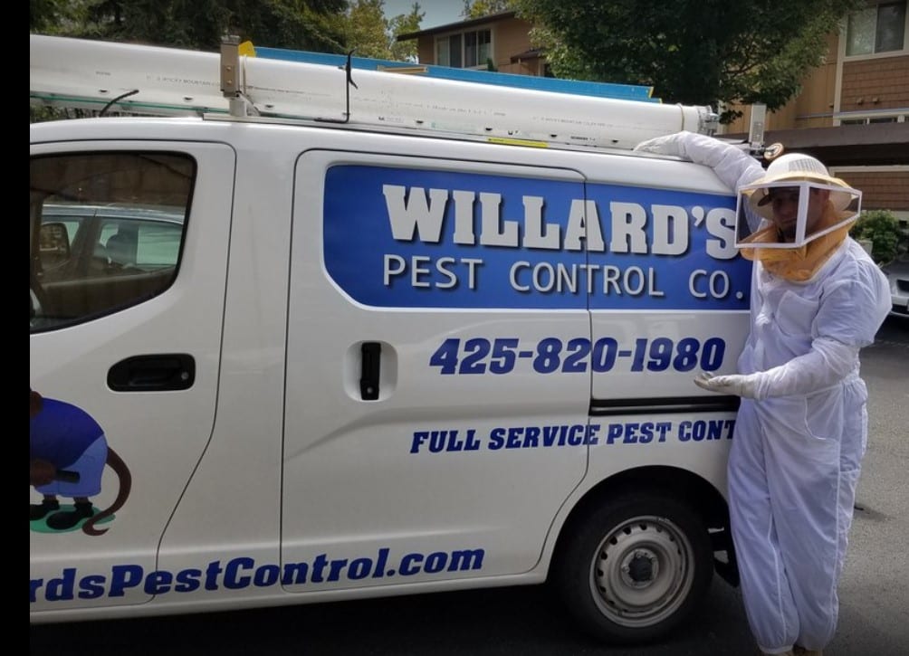 Ants | Exterminator & Pest Control Company | Kirkland, Seattle ...